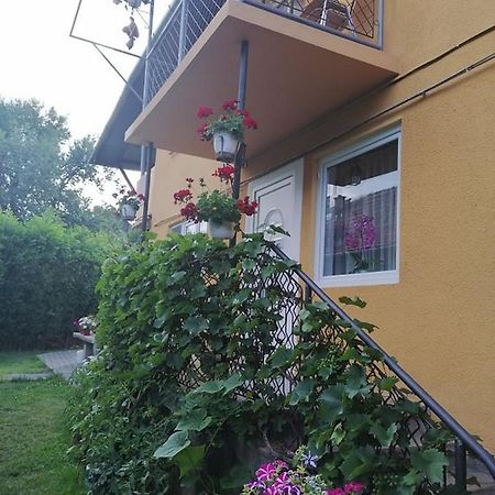 Casa De Oaspeti Orso Sovata Εξωτερικό φωτογραφία